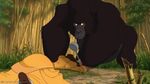 Jane gets sniffed by Kerchak.