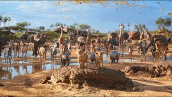 Simba Disney Wiki Fandom Narrated by sir david attenborough and filmed over. simba disney wiki fandom