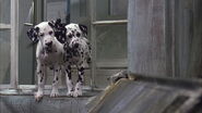 102-dalmatians-disneyscreencaps.com-2894