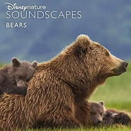Disneynature Soundscapes: Bears