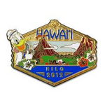 Hawaii Pin