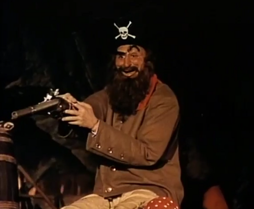 Mister Taliban Pirate