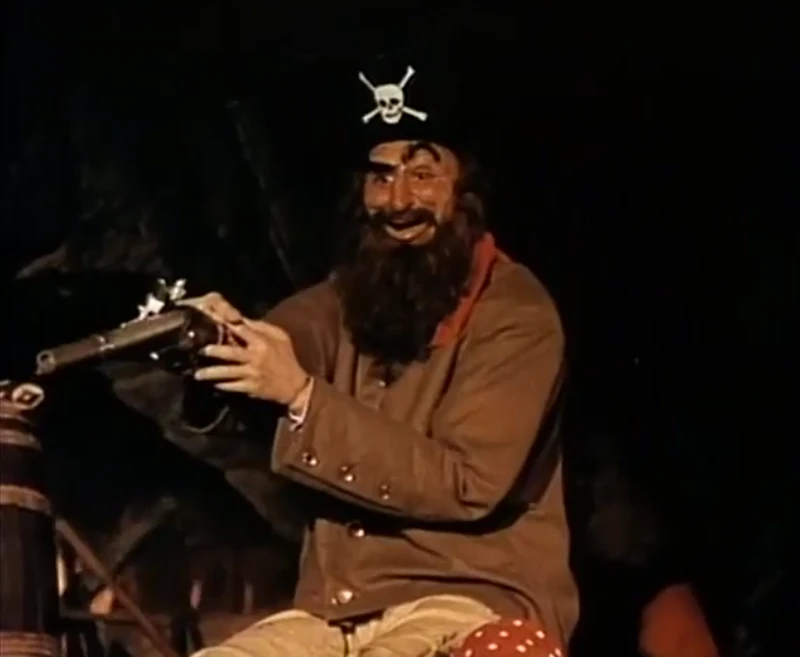 Taliban Pirate