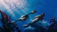 Sereianos, também conhecidos como sereias (A Pequena Sereia franquia)