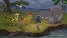 Baboons (49)