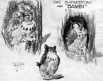 Concepts of Friend Owl with owlettes, suggesting he may have been female at some point.