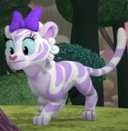 Daisy transformed into a white tiger.