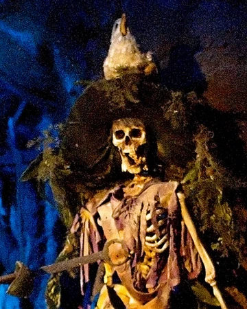 Skeleton Pillager Disney Wiki Fandom