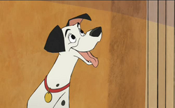 Pongo in the sequel