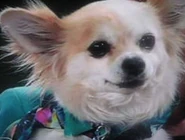 Zeus Jessie.png (66 KB) Zeus (Jessie)