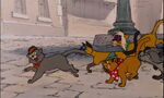 "C'mon, cats we gotta split!"