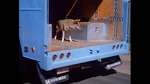 Coyote on a truck.png (1.44 MB)