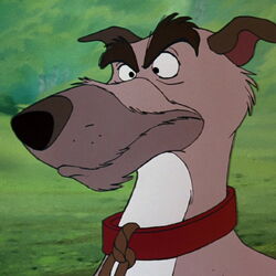 Category The Fox and the Hound characters Disney Wiki Fandom