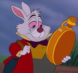 Profile - White Rabbit