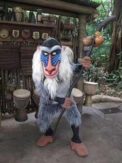 Rafiki HKDL