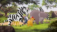 The-golden-zebra (110)