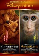 Bears-MonkeyKingdom JP POSTERS