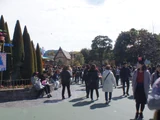 Fantasyland (Tokyo Disneyland)
