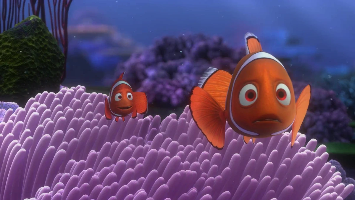 User blog:8888 Claire/Clownfish Named Coral | Disney Wiki | Fandom