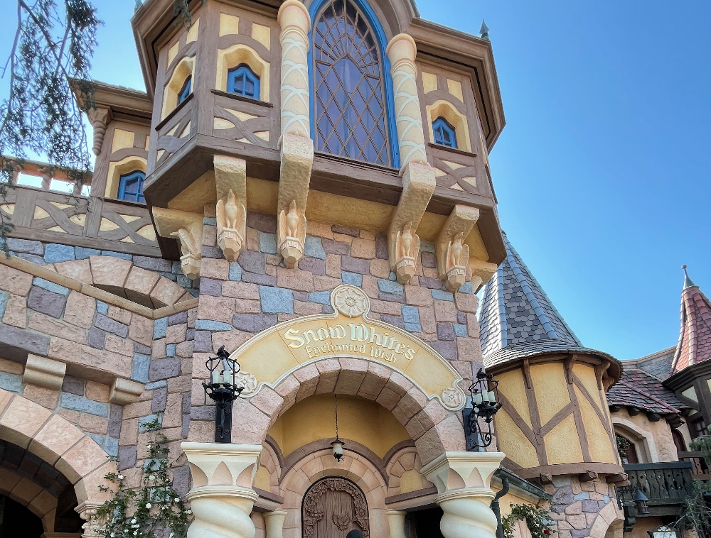 Wish books, Disney Wiki