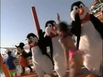 Penguins in Beach Party at Walt Disney World