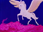 ...and flies towards the fluffy flowers.