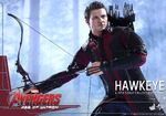 Hawkeye AOU Hot Toys 09