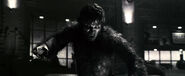 Werewolf by Night/Jack Russell in Werewolf by Night