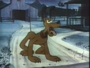 Pluto in coyote's lament