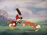 1938-chasse-renard-donald-02