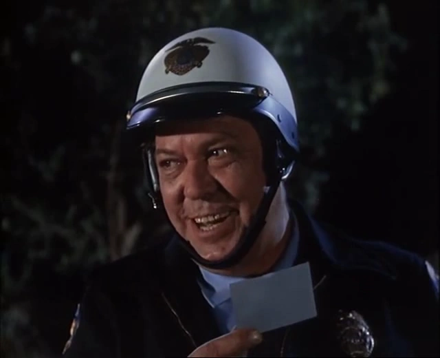 Motorcycle Officer
