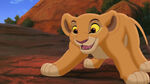 Kiara as a cub