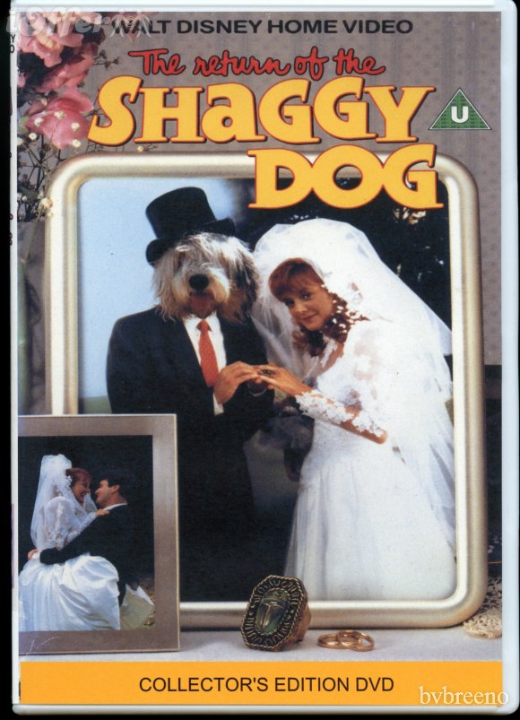 the shaggy dog 2006 dvd