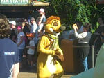 Timon in the Animal Kingdom Parade