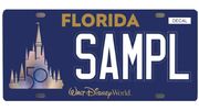WDW license plate