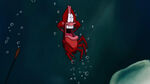 Sebastian shocked after Ariel fails to show up for the concert.