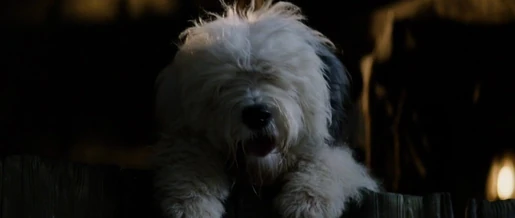 101-dal-disneyscreencaps.com-6406