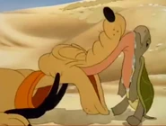 Capture -36.png (303 KB)