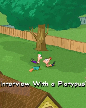 Platypus shoes wiki Clearance