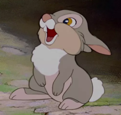 thumper and miss bunny gif