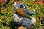 Thumper