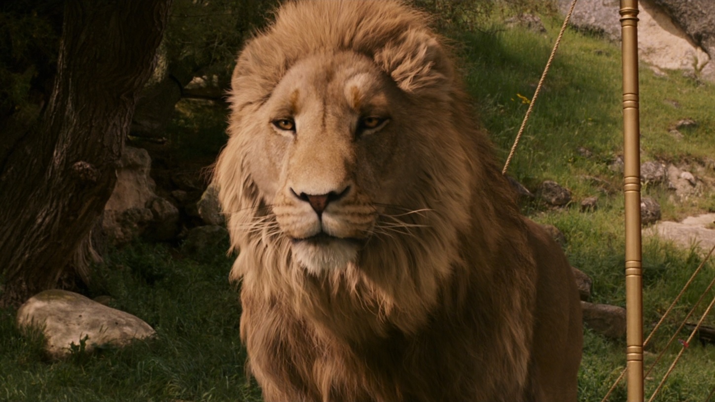 Aslan | Disney Wiki | Fandom