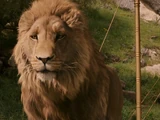 Aslan