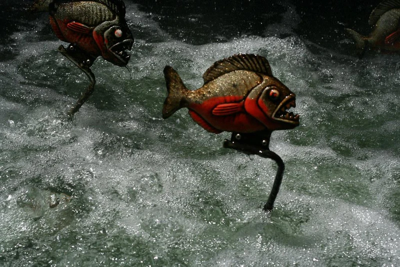 Man-Eating Piranhas