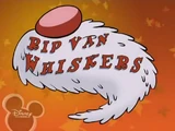 Rip Van Whiskers