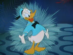 Donald regaining his color in Melody Time.