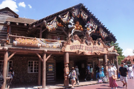 CBJ at Tokyo Disneyland Japan