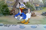 Donald setting up picnic