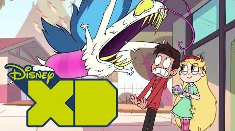 STAR GEGEN DIE MÄCHTE DES BÖSEN - Das ist Marco - NEU auf DISNEY XD