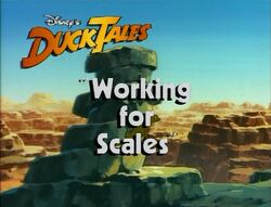 Working4scales.jpg